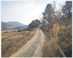  2024Ÿ6693 泲 û ܼ  75-15      (Ӿ)