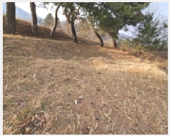  2024Ÿ6693 泲 û ܼ  75-15      (Ӿ)