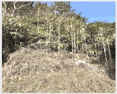  2024Ÿ��31422  �����