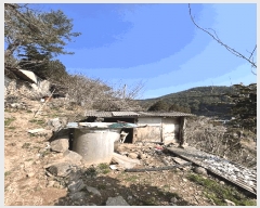  2024Ÿ��31422  �����