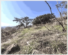  2024Ÿ��31422  �����