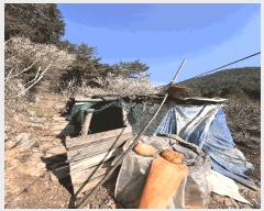  2024Ÿ��31422  �����