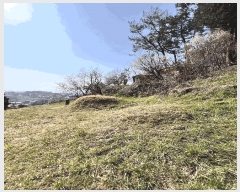  2024Ÿ��31422  �����