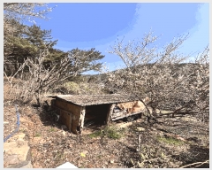  2024Ÿ��31422  �����