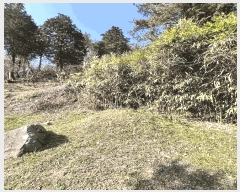  2024Ÿ��31422  �����