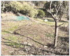  2024Ÿ��31422  �����