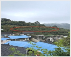  2024Ÿ��37413  ���������