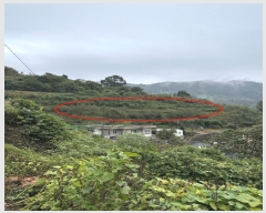  2024Ÿ��37413  ���������