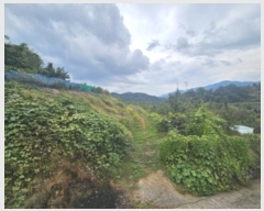  2024Ÿ��37413  ���������