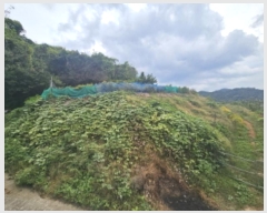  2024Ÿ��37413  ���������