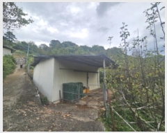  2024Ÿ��37413  ���������