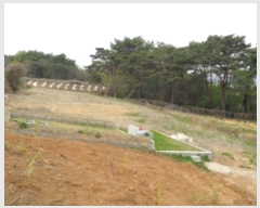  2024Ÿ37864 泲 ر   271      ()