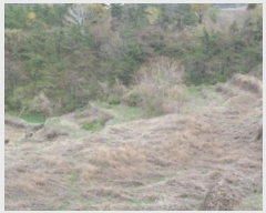  2024Ÿ37864 泲 ر   271      ()