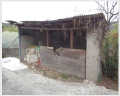  2024Ÿ37864 泲 ر   271      ()