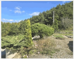  2024Ÿ38546 泲 û û ź 221-12      ð