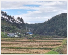  2024Ÿ��38652  �Ӿ߰��