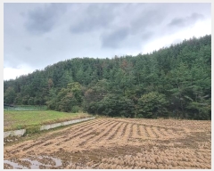  2024Ÿ��38652  �Ӿ߰��