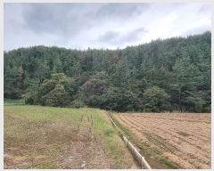  2024Ÿ��38652  �Ӿ߰��