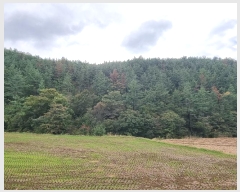  2024Ÿ��38652  �Ӿ߰��