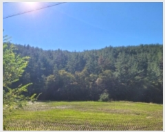  2024Ÿ��38652  �Ӿ߰��