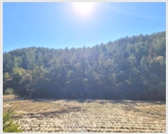  2024Ÿ��38652  �Ӿ߰��