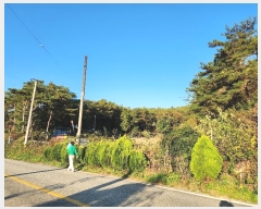  2024Ÿ38713 泲 ֽ  ȿڸ 101-1      (Ӿ)