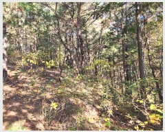  2024Ÿ38713 泲 ֽ  ȿڸ 101-1      (Ӿ)