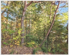  2024Ÿ38713 泲 ֽ  ȿڸ 101-1      (Ӿ)