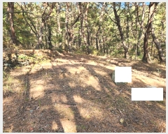  2024Ÿ38713 泲 ֽ  ȿڸ 101-1      (Ӿ)