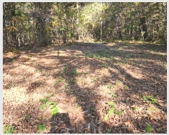  2024Ÿ38713 泲 ֽ  ȿڸ 101-1      (Ӿ)