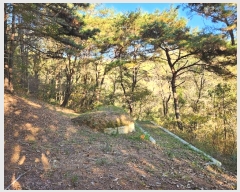  2024Ÿ38713 泲 ֽ  ȿڸ 101-1      (Ӿ)