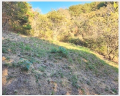  2024Ÿ38713 泲 ֽ  ȿڸ 101-1      (Ӿ)