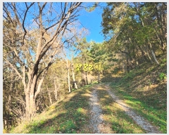  2024Ÿ��39075 �泲 ���ر� â���� ���븮 ��82      ����(�Ӿ�)���