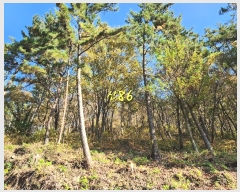  2024Ÿ��39075 �泲 ���ر� â���� ���븮 ��82      ����(�Ӿ�)���