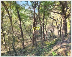  2024Ÿ��39075 �泲 ���ر� â���� ���븮 ��82      ����(�Ӿ�)���