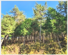  2024Ÿ��39075 �泲 ���ر� â���� ���븮 ��82      ����(�Ӿ�)���