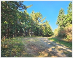  2024Ÿ��39075 �泲 ���ر� â���� ���븮 ��82      ����(�Ӿ�)���