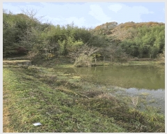  2024Ÿ��39174  ����