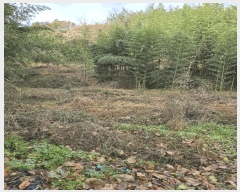  2024Ÿ��39174  ����