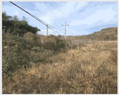  2024Ÿ��39174  ����