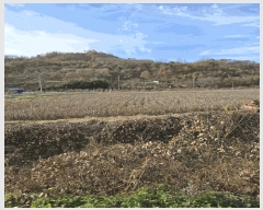  2024Ÿ��39174  ����