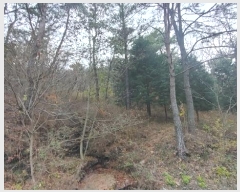  2024Ÿ��39679 �泲 ��õ�� �糲�� ȭ���� 48      ����(��)���