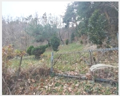  2024Ÿ��39679 �泲 ��õ�� �糲�� ȭ���� 48      ����(��)���