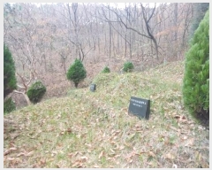  2024Ÿ��39679 �泲 ��õ�� �糲�� ȭ���� 48      ����(��)���