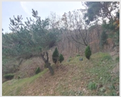  2024Ÿ��39679 �泲 ��õ�� �糲�� ȭ���� 48      ����(��)���