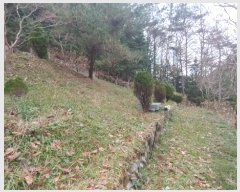  2024Ÿ��39679 �泲 ��õ�� �糲�� ȭ���� 48      ����(��)���