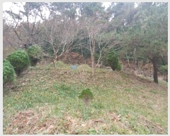  2024Ÿ��39679 �泲 ��õ�� �糲�� ȭ���� 48      ����(��)���