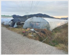  2024Ÿ��39679 �泲 ��õ�� �糲�� ȭ���� 48      ����(��)���