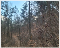  2024Ÿ40112 泲 õ ͷ浿 78-3       (Ӿ)