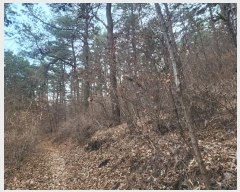  2024Ÿ40112 泲 õ ͷ浿 78-3       (Ӿ)